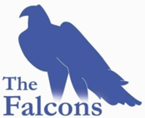 Falcons Jpeg logo
